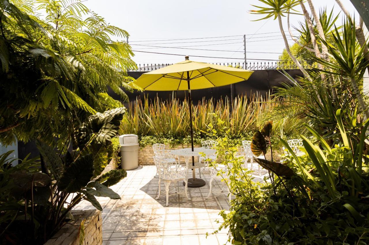 Casa Mateo Hotell Guadalajara Eksteriør bilde